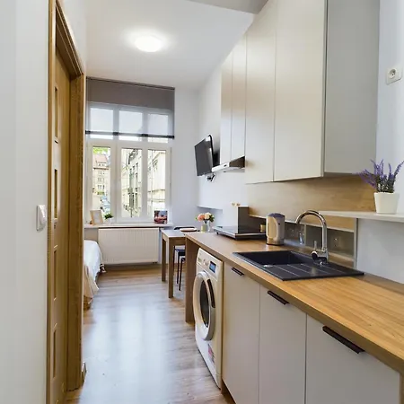 Stylish And Wooden 1st Floor In Cracow By Renters